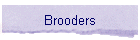 Brooders