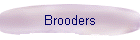 Brooders