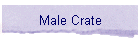 Male Crate