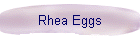 Rhea Eggs