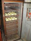 Sears_Farm_Master_incubator_with_rhea_eggs.JPG (41100 bytes)